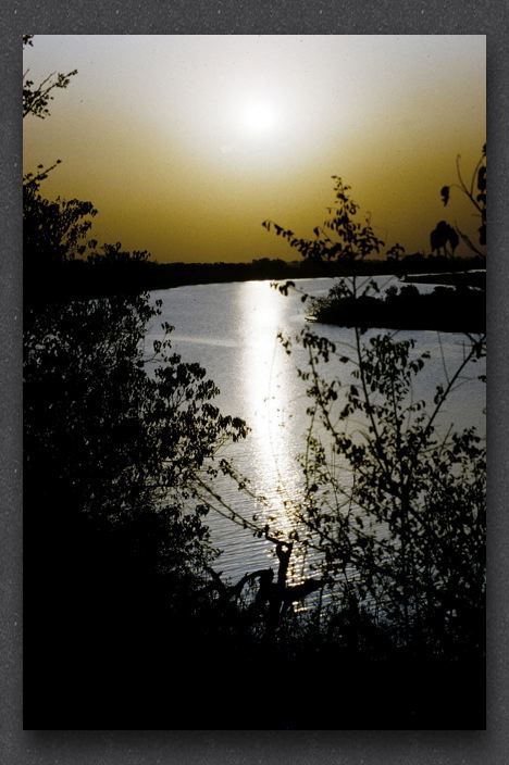 033 Zambezi River