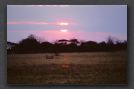 111 sunset over Kalahari